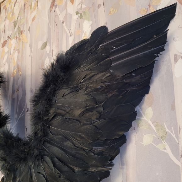 Dark Angel Wings Black Feathers Posable Cosplay Or Display - Picture 10 of 16